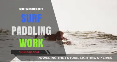 Surf Paddling Muscles: Unlocking Core, Shoulders, and Back Strength