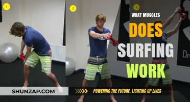 Surfing's Full-Body Workout: Muscles Engaged and Strengthened in the Waves