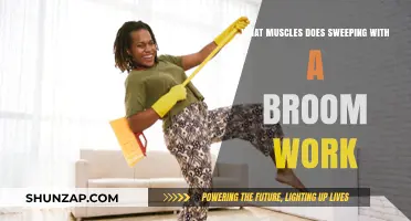 Sweeping Benefits: Muscles Engaged and Strengthened by Broom Workouts