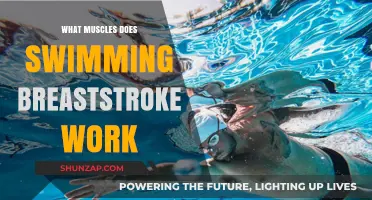 Swimming Breaststroke: Target Muscles and Full-Body Benefits Explained
