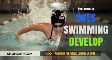 Swimming Workout: Developing a Balanced, Strong Body