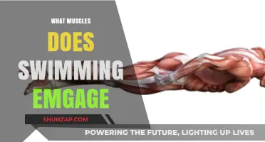 Swimming Workouts: Targeted Muscle Groups for Fitness