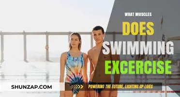 Swimming Workouts: Targeted Muscle Groups for Fitness