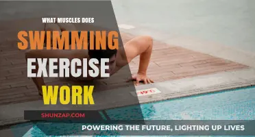 Swimming's Full-Body Workout: Muscles Targeted in Every Stroke