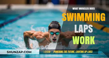 Swimming Laps: A Full-Body Workout for Strength and Endurance