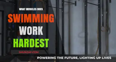 Swimming's Full-Body Workout: Targeting Muscles for Strength and Endurance