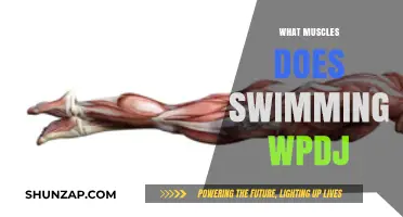 Swimming Strokes: Which Muscles Do They Work Out?
