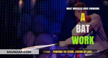 Swinging a Bat: Muscles Engaged in Every Powerful Hit