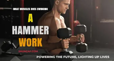 Muscles Engaged: The Surprising Workout of Swinging a Hammer