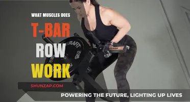 T-Bar Row Muscles: Targeted Back, Arm, and Core Engagement Explained