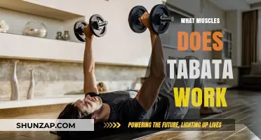 Tabata Workout Benefits: Target Muscles and Maximize Your Fitness Results