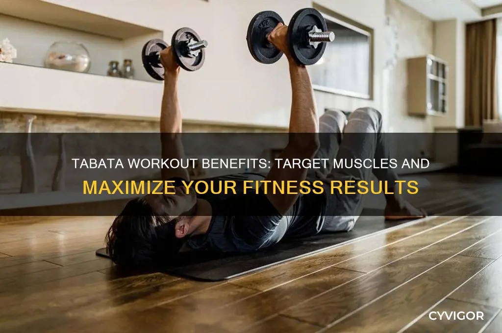 what muscles does tabata work
