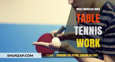 Table Tennis Workout: Muscles Engaged in Every Rally and Swing