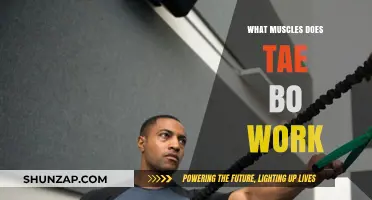 Tae Bo Workout Benefits: Targeted Muscles and Full-Body Fitness Explained