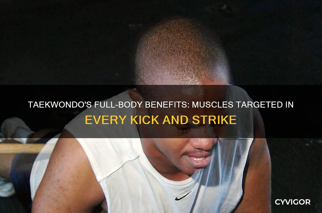 what muscles does taekwondo work