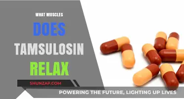Tamsulosin's Muscle Relaxation: Targeting Prostate and Bladder Muscles Explained
