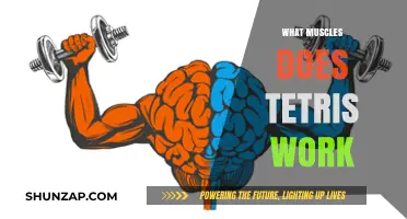 Tetris Brain Workout: Cognitive Muscles Strengthened by the Classic Game