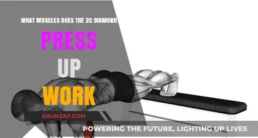 Diamond Press Up: Targeted Muscles and Benefits Explained