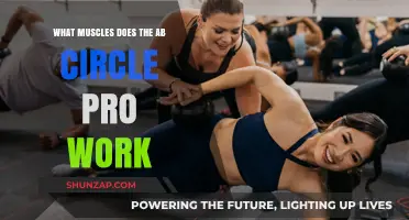 Ab Circle Pro: Targeted Muscles for Core Strength and Toning