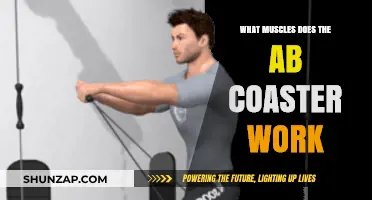 Ab Coaster Workout: Targeted Muscles for a Stronger Core
