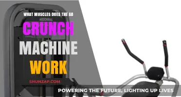 Ab Crunch Machine: Targeted Muscles for Core Strength and Toning