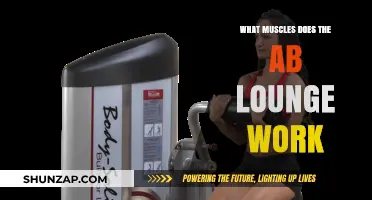 Ab Lounge Workout: Target Muscles and Core Strengthening Benefits