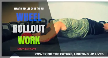 Ab Wheel Rollout: Target Muscles and Core Strengthening Benefits