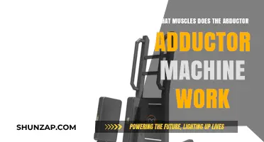 Abductor Adductor Machine: Targeted Muscles and Workout Benefits Explained