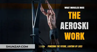 Aeroski Workout: Targeted Muscles and Full-Body Benefits Explained