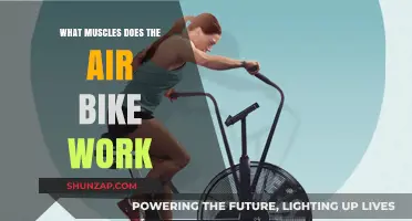 Air Bike Workout: Target Muscles and Full-Body Benefits Explained