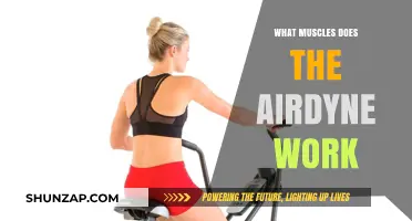 Airdyne Workout Benefits: Targeted Muscles and Full-Body Engagement Explained