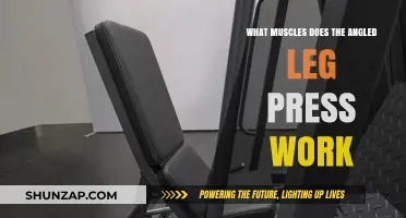 Targeted Muscles: How the Angled Leg Press Sculpts Your Lower Body