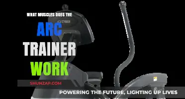 Arc Trainer Muscles: Targeted Toning and Full-Body Benefits Explained