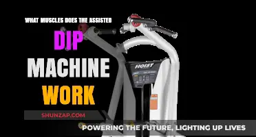 Assisted Dip Machine: Targeted Muscles and Workout Benefits Explained