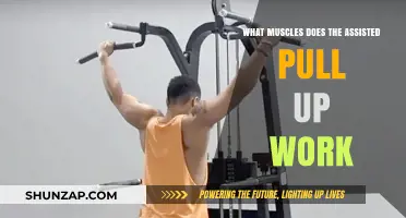 Assisted Pull-Up Muscles: Targeted Strength Training Benefits Explained