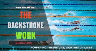 Backstroke Benefits: Targeted Muscles for Strength and Endurance