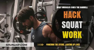 Barbell Hack Squat: Targeted Muscles and Benefits Explained