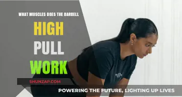Barbell High Pull: Targeted Muscles and Full-Body Benefits Explained