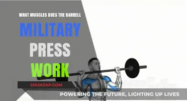 Barbell Military Press: Key Muscles Targeted and Strengthened