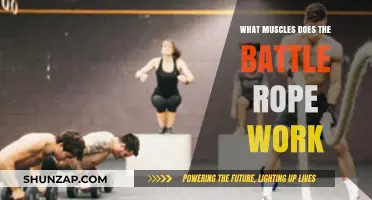 Battle Ropes Workout: Targeted Muscles and Full-Body Benefits Explained