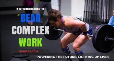Bear Complex Workout: Target Muscles and Full-Body Benefits Explained