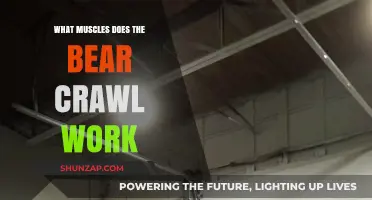 Bear Crawl Benefits: Targeted Muscles and Full-Body Strength Training