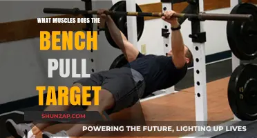 Bench Pull Muscles: Targeted Back, Shoulder, and Arm Strength Training