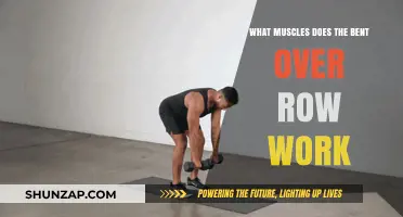 Bent Over Row Muscles: Targeted Back, Arm, and Core Workout