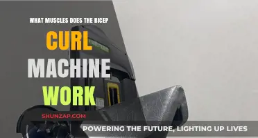 Bicep Curl Machine: Target Muscles and Workout Benefits Explained