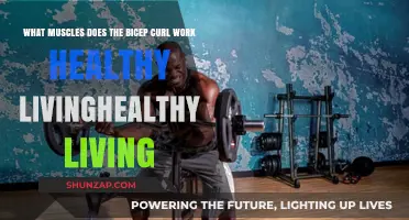 Bicep Curl Benefits: Target Muscles for Strength and Healthy Living