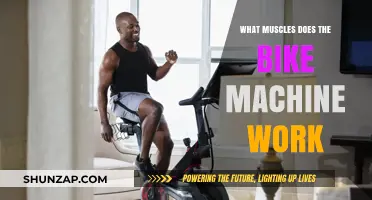 Bike Machine Muscles: Targeted Workout Benefits and Key Areas