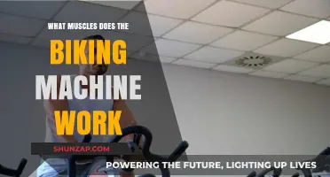 Biking Machine Benefits: Targeted Muscles and Full-Body Workout Explained