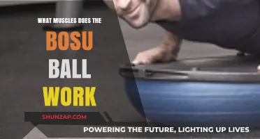 Bosu Ball Benefits: Targeted Muscles for Core, Balance, and Stability