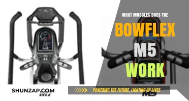 Bowflex M5: Target Muscles and Full-Body Workout Benefits